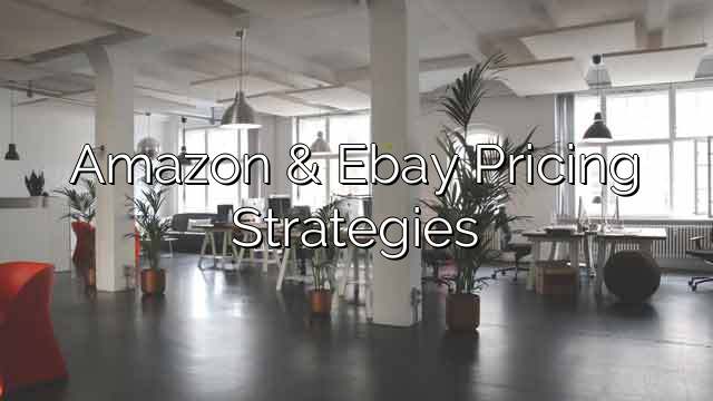 Amazon Ebay Pricing Strategies Learn Digital Advertising