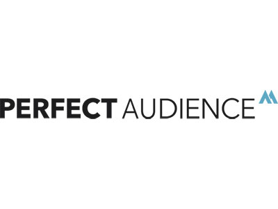 perfect-audience-data-studio